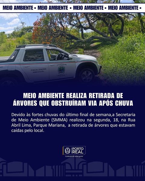 Meio Ambiente realiza retirada de árvores que obstruíram via após chuva