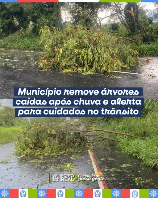 Município remove árvores caídas após chuva e alerta para cuidados no trânsito