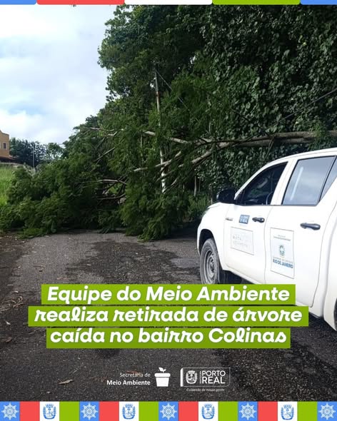 Equipe do Meio Ambiente realiza retirada de árvore caída no bairro Colinas
